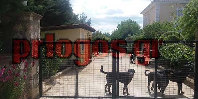 Η απόφαση του Δήμου Κοζάνης για την υιοθεσία των ροντβάιλερ