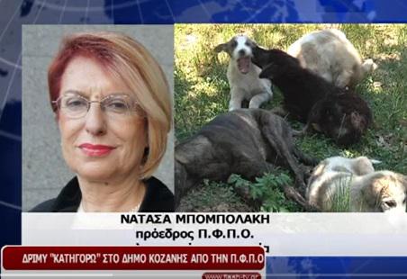 Δριμύ “κατηγορώ” στον Δήμο Κοζάνης από την Πανελλήνια Φιλοζωϊκή Ομοσπονδία (video)