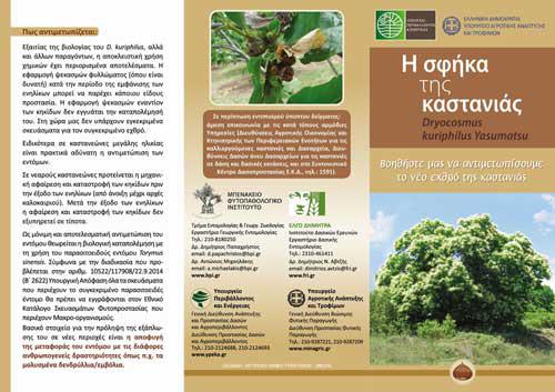Ενημέρωση για την Καλλιέργεια της καστανιάς και τη σφήκα