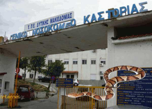 Φίδι στην Παιδιατρική Κλινική του Νοσοκομείου Καστοριάς!