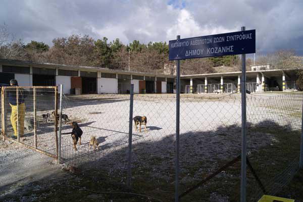 Aπάντηση του Υπουργείου Αγροτικής Ανάπτυξης σε ερώτηση βουλευτή για τις καταγγελίες στη διαχείριση αδέσποτων ζώων στο Δήμο Κοζάνης