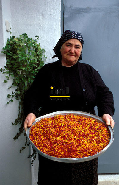 krokos_kozanis3