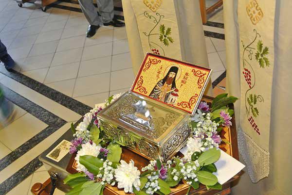 nikanora17