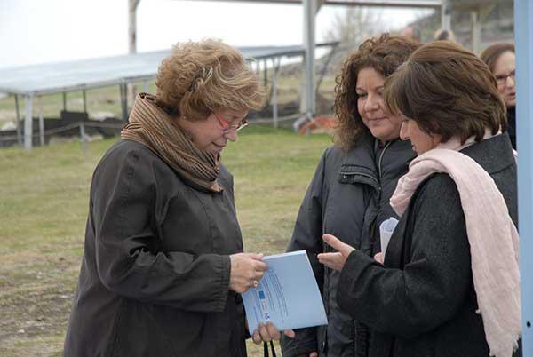 aiani-2