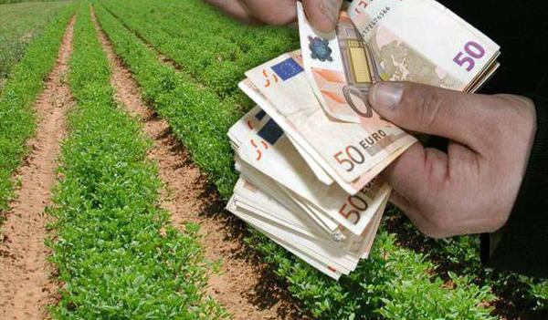 Ανακοινώθηκαν οι καταστάσεις πληρωμής Βιολογικής Γεωργίας 2013 μετά τις ενστάσεις