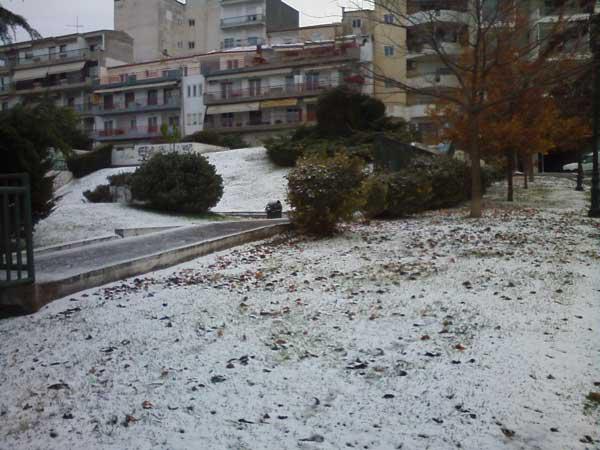 xioni_29n