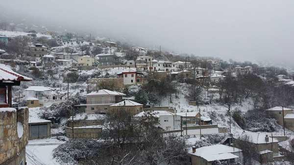 ΜΕΤΑΞΑΣ, 1-12-2016: Παγωνιά, αντίξοες συνθήκες αλλά και ομορφιά!
