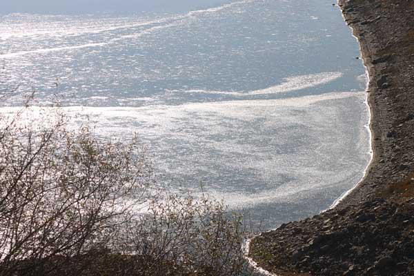 Πάγωσε τμήμα της λίμνης Πολυφύτου, πλησίον της γέφυρας Ρυμνίου!