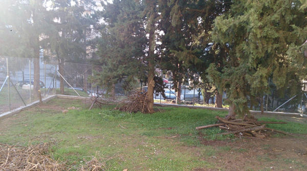 Ευχαριστήριο του Μαμάτσειου προς την Κοινωφελή του Δήμου Κοζάνης για τη χρηματοδότηση του εγχειρήματος κήπου στο Νοσοκομείο