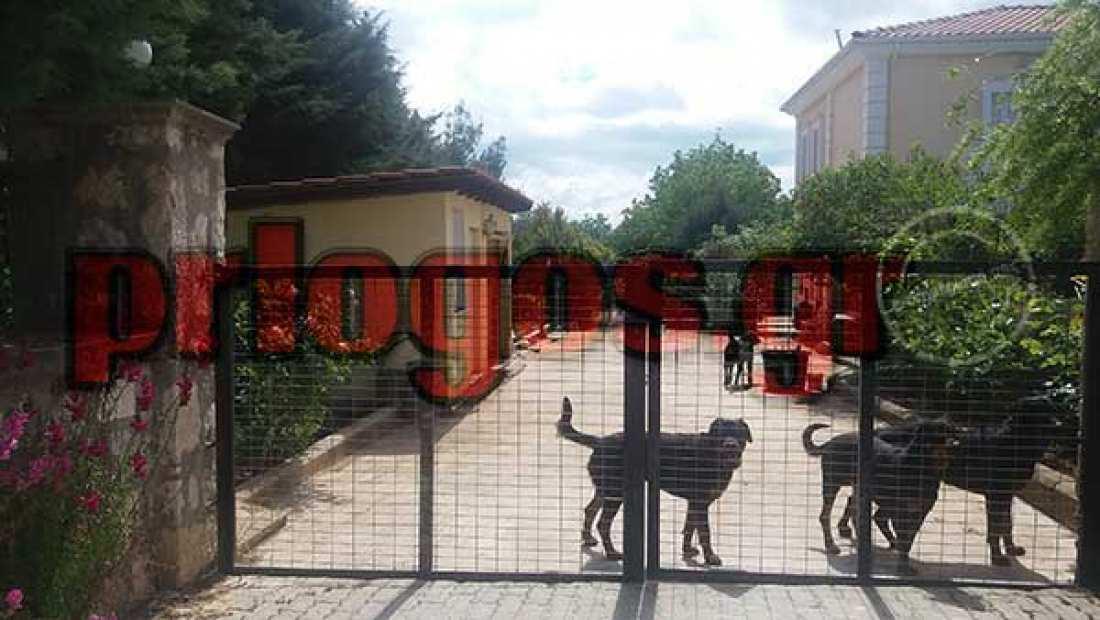 Δέσμευση της περιουσίας των ιδιοκτητών των ροτβάιλερ που σκότωσαν τον 5χρονο Στάθη