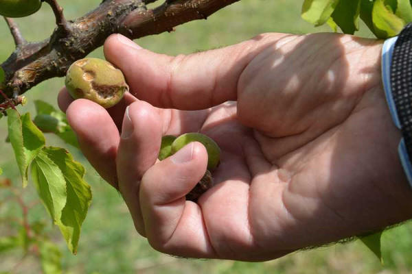 Ενισχύσεις 925.000 ευρώ στους Δήμους Σερβίων – Βελβεντού, Σπετσών, Δομοκού, Λευκάδας, Μεσσήνης  και Φαρκαδόνας για την αντιμετώπιση ζημιών από την κακοκαιρία
