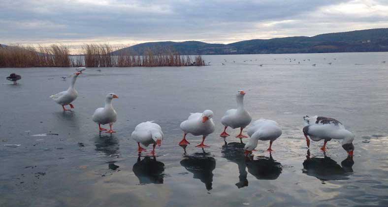 Η πανέμορφη φωτογραφία της Ημέρας από την παγωμένη λίμνη της Καστοριάς!