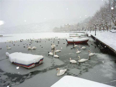 Παγωμένη η Λίμνη των Κύκνων στην Καστοριά και η  λίμνη Χειμαδίτιδα στο Αμύνταιο