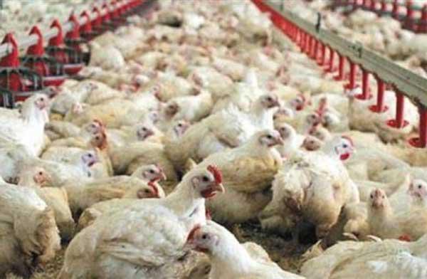 Ενημέρωση από το Τμήμα Κτηνιατρικής Κοζάνης