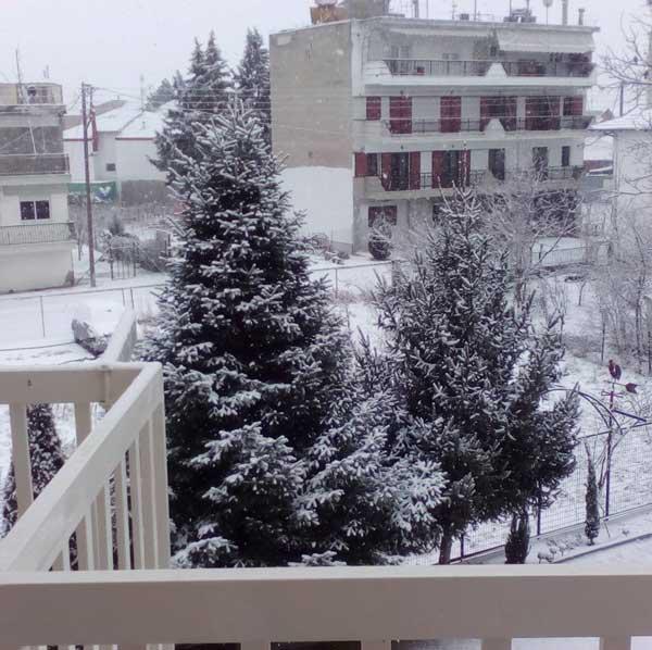 Κλειστά έμειναν σήμερα και τα σχολεία της Εορδαίας