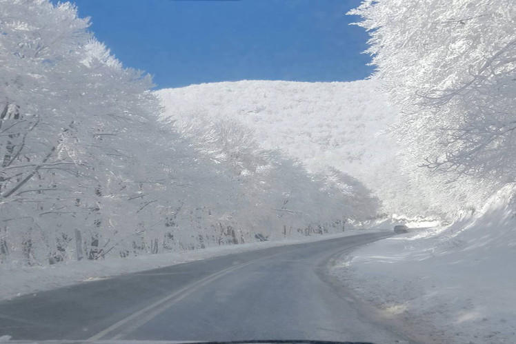 Κατάλευκη και ηλιόλουστη ταυτόχρονα η διαδρομή προς τη Βίγλα