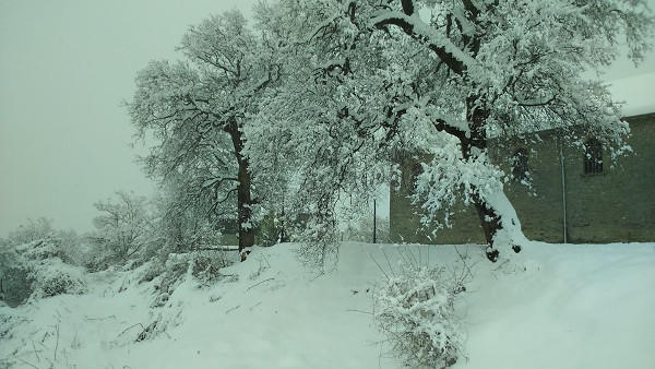 Δείτε φωτογραφίες από τον χιονισμένο Πεντάλοφο Βοΐου