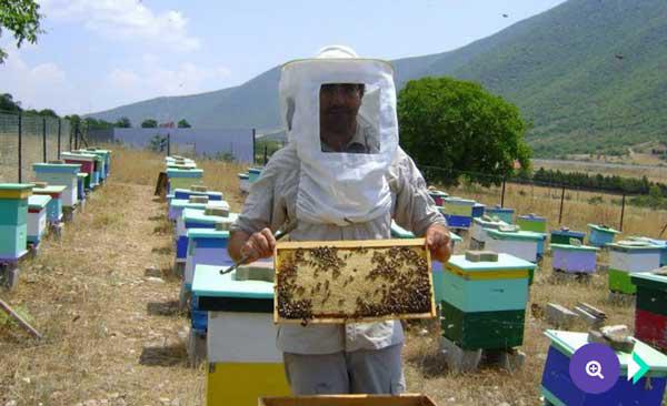 Το μέλι της Κοζάνης ταξιδεύει για πρώτη φορά στο εξωτερικό