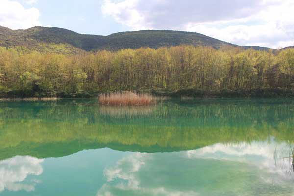 Αντανακλάσεις στο πλατανόδασος των Αναβρυκών και ο κρυμμένος …γοριλάνθρωπος