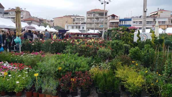 Αναβολή 20ης Ανθοκομικής Έκθεσης Πτολεμαϊδας