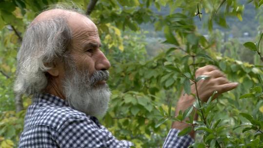 Λευκοπηγή Κοζάνης: Διημερίδα με θέμα: «Φυσική Καλλιέργεια»