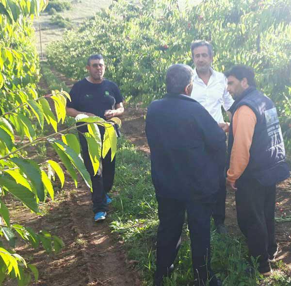 Επίσκεψη του Στάθη Κωνσταντινίδη στις πληγείσες περιοχές Πύργους και Μεσόβουνο