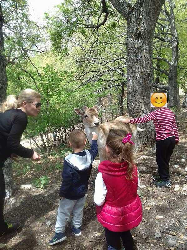Η Πρωτομαγιά στον Άγιο Παντελεήμονα πάντοτε είχε και έχει μια ξεχωριστή θέση για τους κατοίκους του Αγίου Δημητρίου
