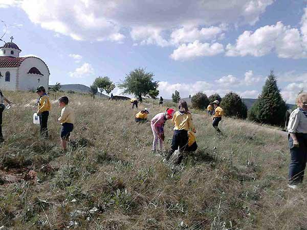 100 δενδρύλλια φύτεψαν τα Λυκόπουλα και οι πρόσκοποι της Κοζάνης