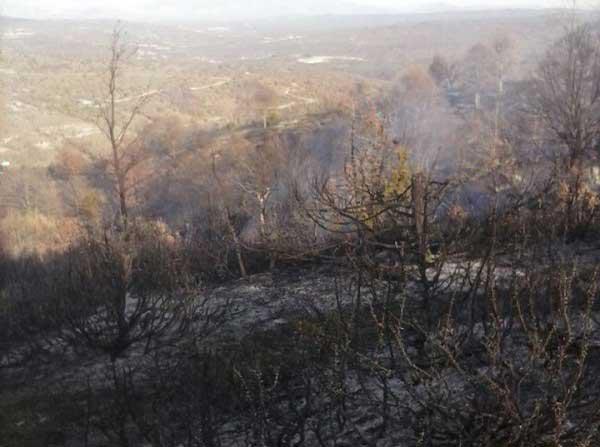 Κάηκαν 50 στρέμματα μεταξύ Εράτυρας και Γαλατινής!
