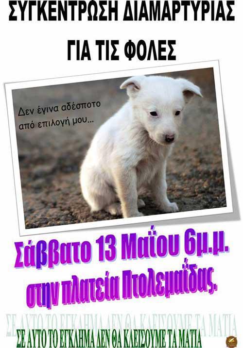 Συγκέντρωση διαμαρτυρίας για τις φόλες στην Πτολεμαΐδα