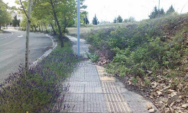 Γεμάτα χόρτα τα πεζοδρόμια στη ΖΕΠ