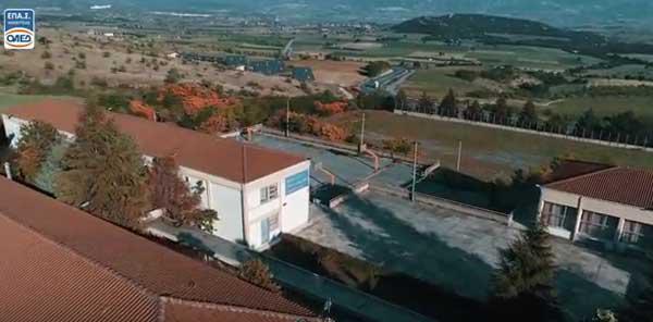 Καταγγελία του ΕΠΑ.Σ Δ.ΥΠ.Α Μαθητείας Κοζάνης για εγκατάλειψη σκύλου στην αυλή του σχολείου και επίθεση από αυτό σε εκπαιδευτικό