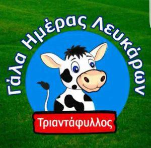 Το Γάλα Ημέρας Λευκάρων Τριαντάφυλλος ζητάει οδηγούς