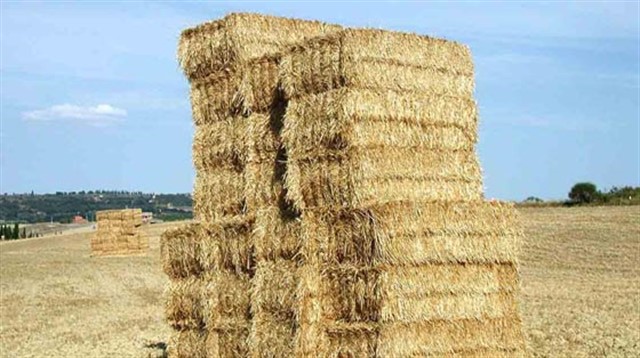 Καστοριά: Νεκρός 51χρονος που καταπλακώθηκε από μπάλες με άχυρο