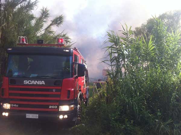 Δήμος Κοζάνης: Πρόληψη δασικών – χορτολιβαδικών πυρκαγιών
