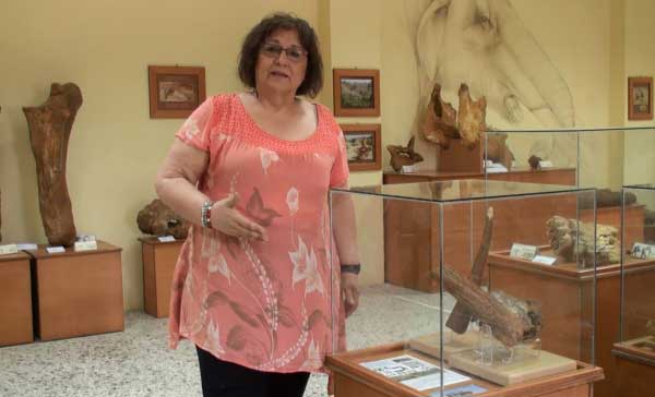 Grevenobos antiquus: Νέα παγκόσμια ανακάλυψη στα Γρεβενά