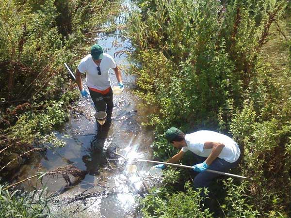 Σε πλήρη εξέλιξη το πρόγραμμα καταπολέμησης κουνουπιών στη δυτική Μακεδονία