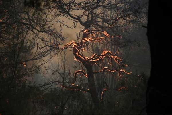 Η φωτιά στο Βροντερό Φλώρινας βρίσκεται σε ύφεση