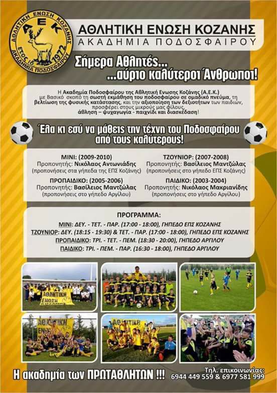Ακαδημία Ποδοσφαίρου της Αθλητικής Ένωσης Κοζάνης