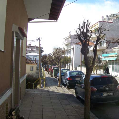Ο δήμος Κοζάνης εξηγεί για τις κοπές ξερών δέντρων στην πόλη
