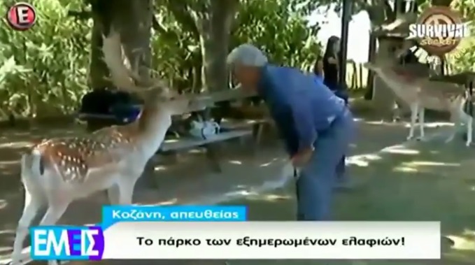 Το πάρκο των εξημερωμένων ελαφιών, από την Κοζάνη, σε απευθείας σύνδεση στο Epsilon (video)