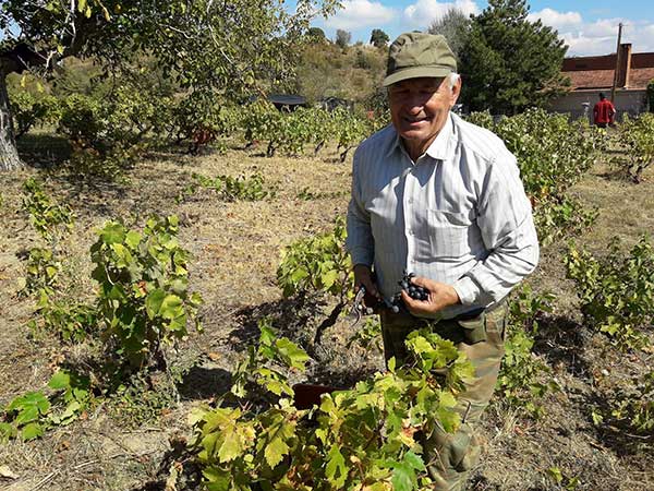 Πρωτομηνιά με τρύγο στο αμπέλι του Λάζου Κουζιάκη