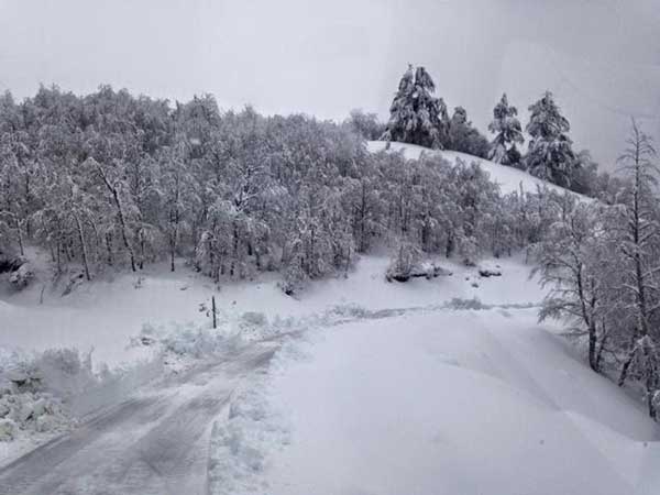 Ασθενής χιονόπτωση στο Χιονοδρομικό Κέντρο Βασιλίτσας