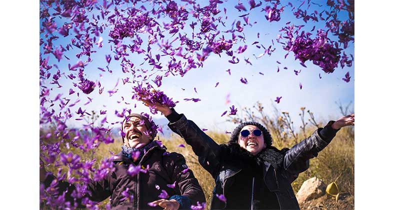 Η εκπληκτική Φωτογραφία της Ημέρας από το μάζεμα του κρόκου! (του Σάκη Αναστασόπουλου)