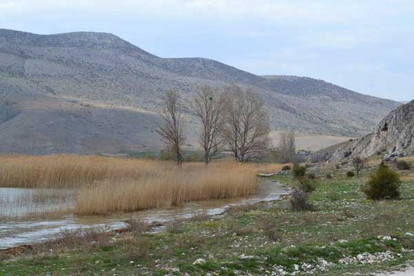 Φωτιές στη Λίμνη Πετρών και στη Νομιμότητα