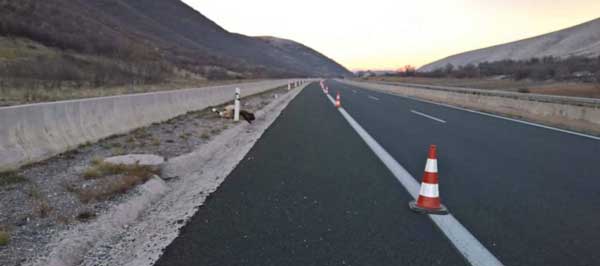 Εξέπνευσε κατά τη μεταφορά στη Θεσσαλονίκη αρκούδα  που τραυματίστηκε σε τροχαίο στον Αετό Αμυνταίου