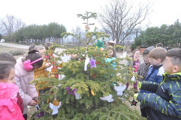 Οι μαθητές του δημοτικού σχολείου Αιανής στόλισαν το χριστουγεννιάτικο δέντρο της Εφορείας Αρχαιοτήτων Κοζάνης