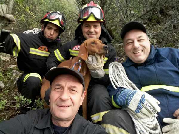 Επιχείρηση απεγκλωβισμού σκύλου από το πυροσβεστικό κλιμάκιο Σερβίων