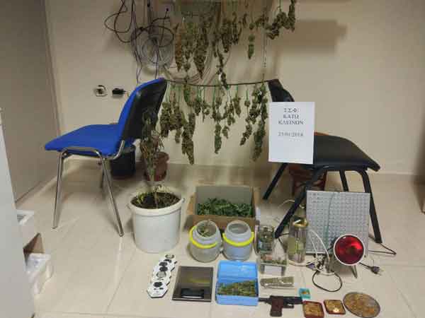 Συνελήφθη 62χρονος σε περιοχή της Φλώρινας για καλλιέργεια και κατοχή κάνναβης, όπλο και 174 χρυσές λύρες!