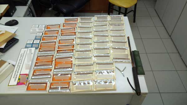 Δύο συλλήψεις σε περιοχή της Φλώρινας για αδασμολόγητο καπνό και τσιγάρα